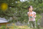 P09018_048.png